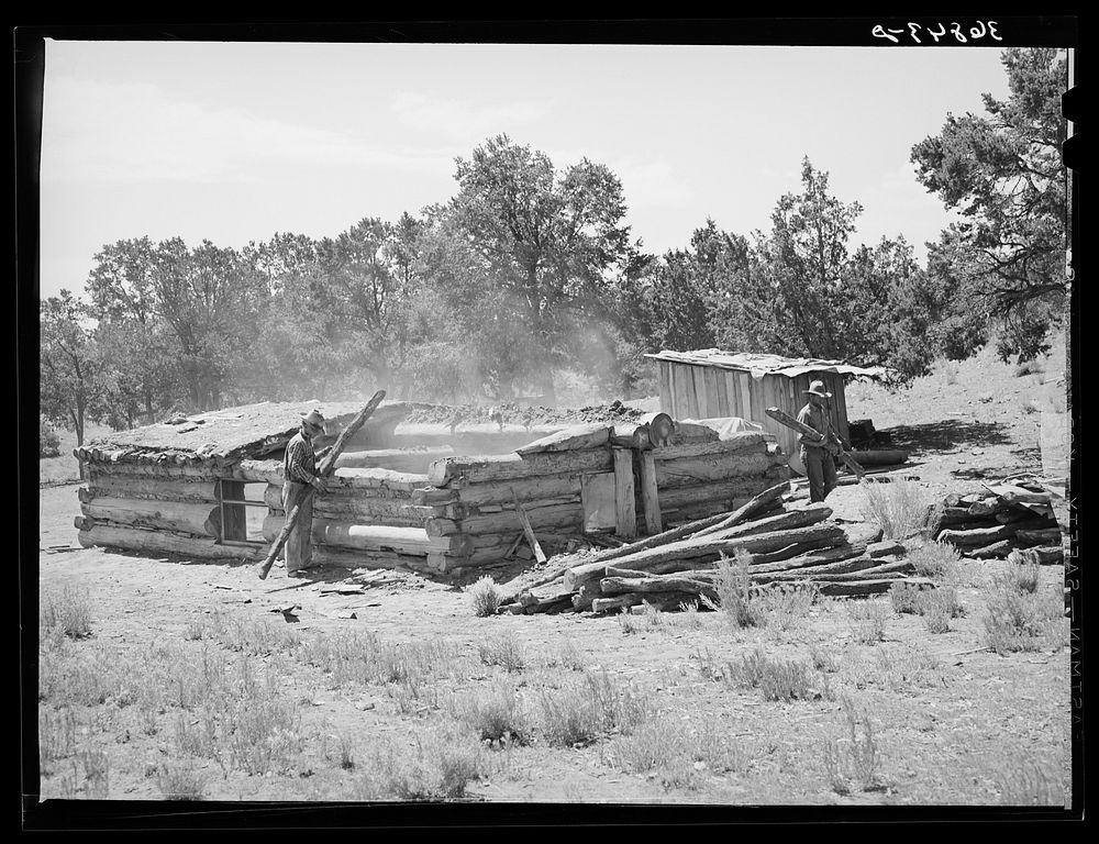 Faro Caudill and neighbor John Adams tearing down dugout. Pie Town, New Mexico by Russell Lee