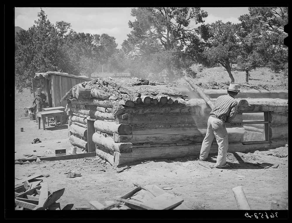 A neighbor who is helping Faro Caudill tear down his dugout. Pie Town, New Mexico by Russell Lee