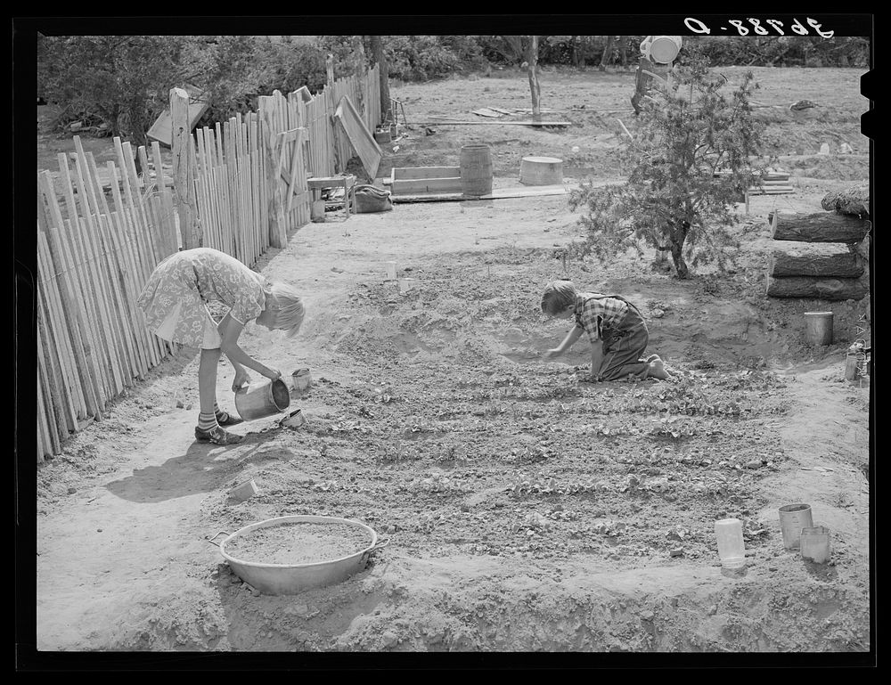 [Untitled photo, possibly related to: The Whinery children work in the flowerbed by the side of their house. Pie Town, New…