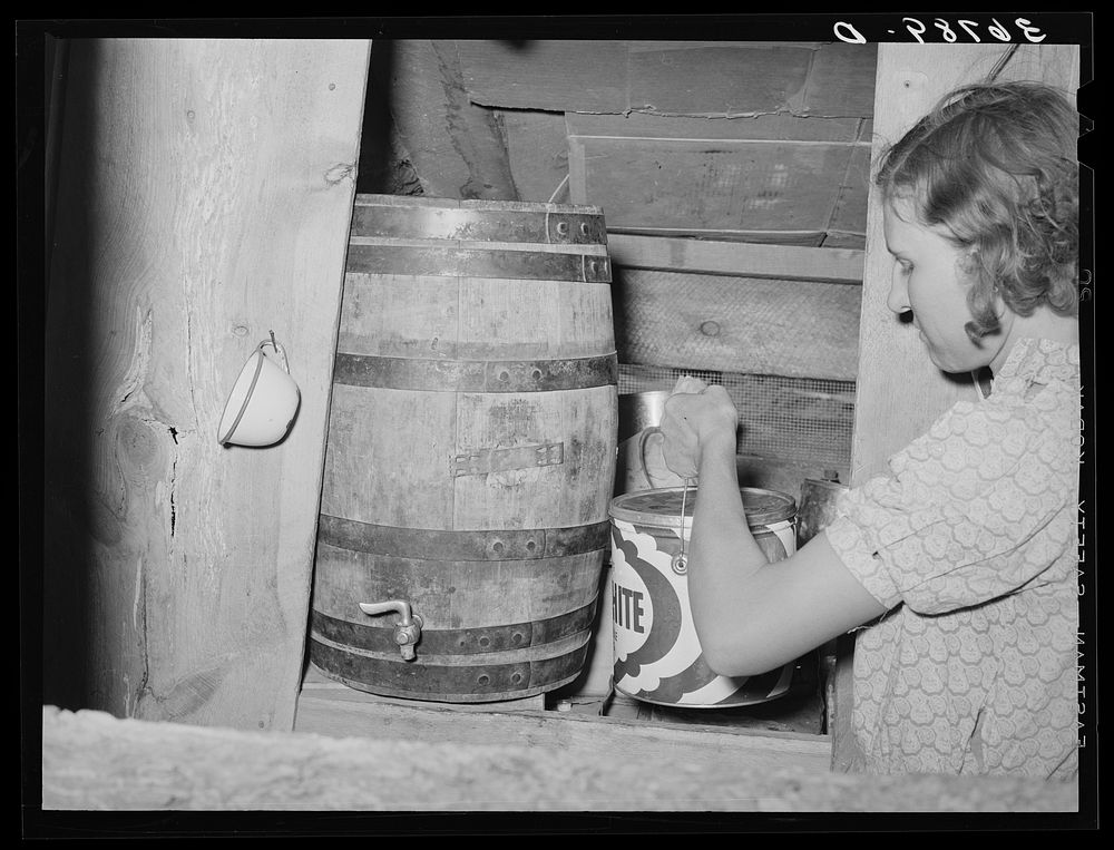 Mrs. Whinery placing bucket of milk in cooling room. Pie Town, New Mexico by Russell Lee