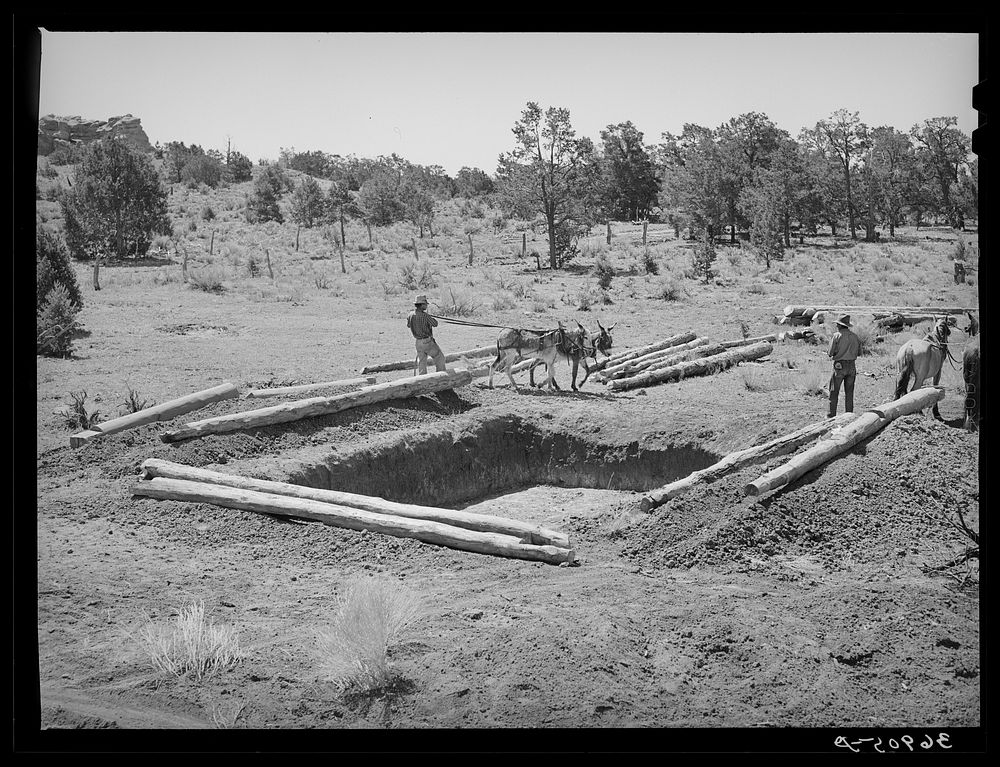 Faro Caudill and neighbor building dugout. Pie Town, New Mexico by Russell Lee