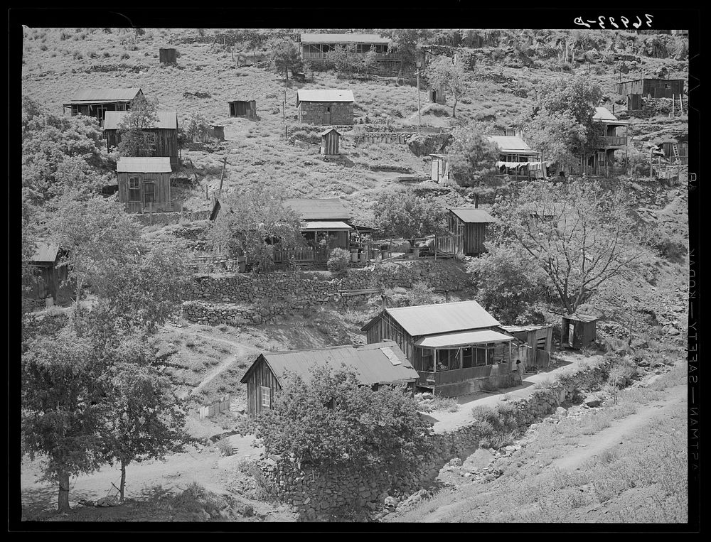 Houses of miners on side of hill at Mogollon, New Mexico by Russell Lee