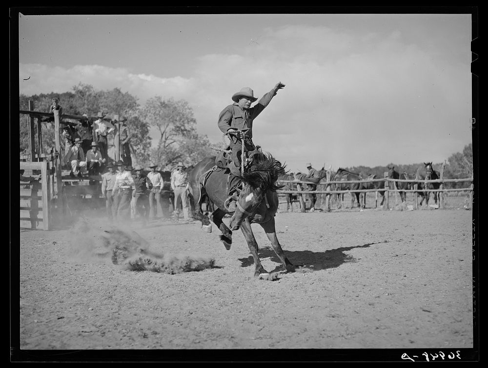 Quemado, New Mexico. Bronc busting at the rodeo by Russell Lee