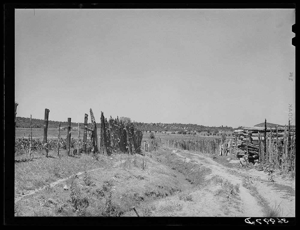 Country land, irrigation ditch and fences. Chamisal, New Mexico by Russell Lee