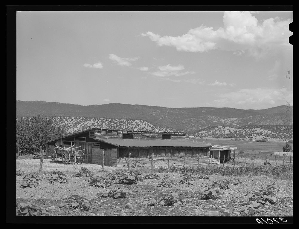 Hay and cow barn of Spanish-American farmer. Chamisal, New Mexico by Russell Lee