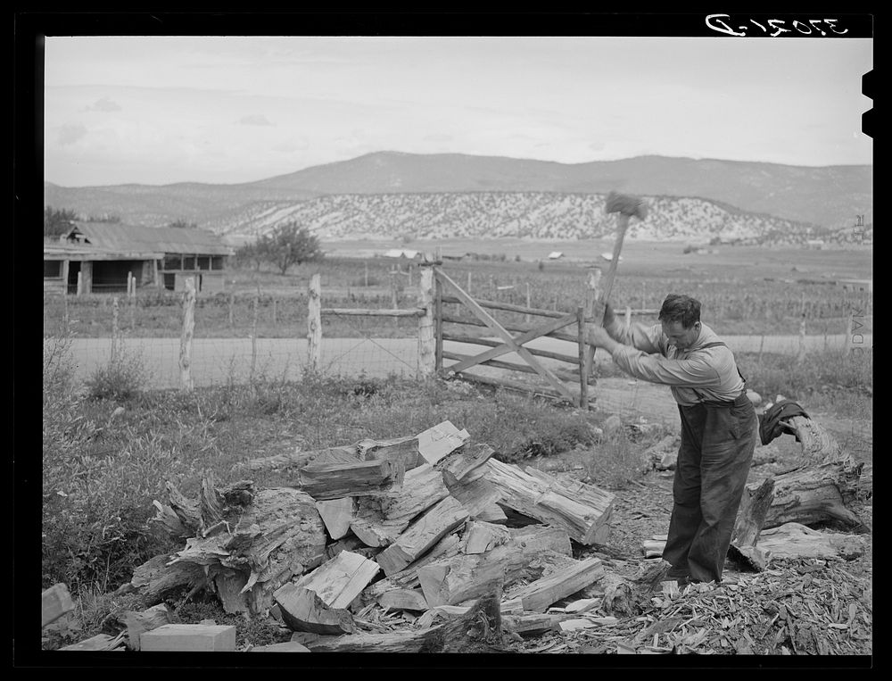 Spanish-American farmer chopping wood. Supply of wood is easily available in the nearby forest. Chamisal, New Mexico by…