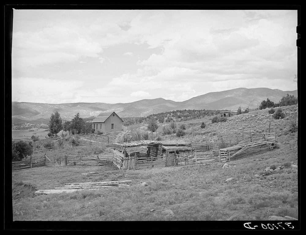 Farmstead of Spanish-American farmer. Chamisal, New Mexico by Russell Lee