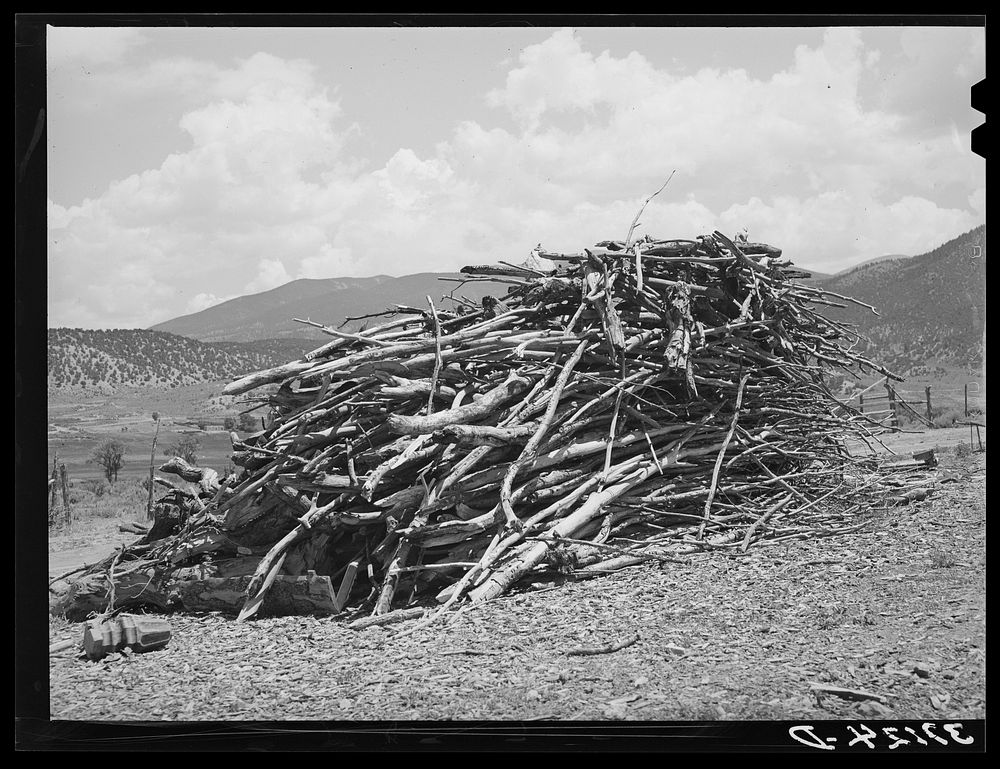 Wood supply of Spanish-American farmer. Amalia, New Mexico by Russell Lee