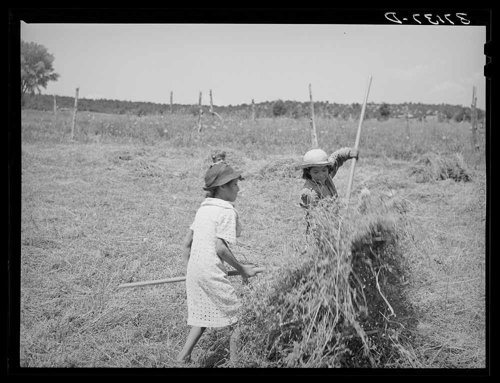 Young Spanish-American girls pitching hay. Chamisal, New Mexico by Russell Lee