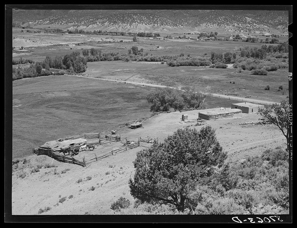 Farmstead of Spanish-American farmer. Amalia, New Mexico by Russell Lee
