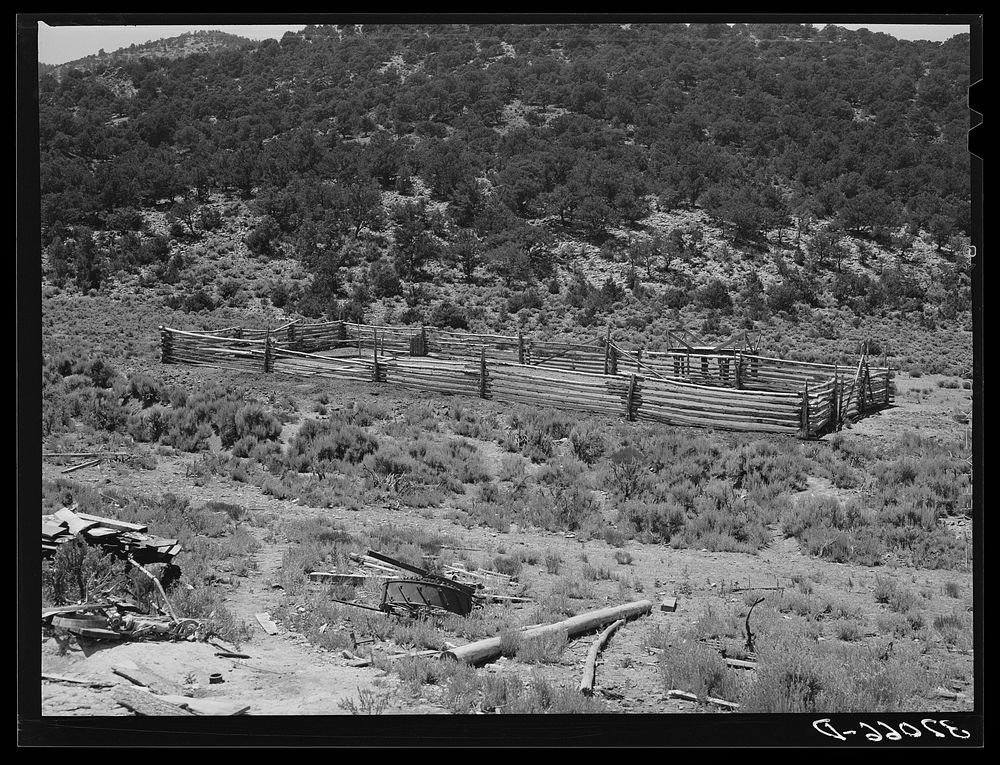 Corral on farm of Spanish-American. Amalia, New Mexico by Russell Lee