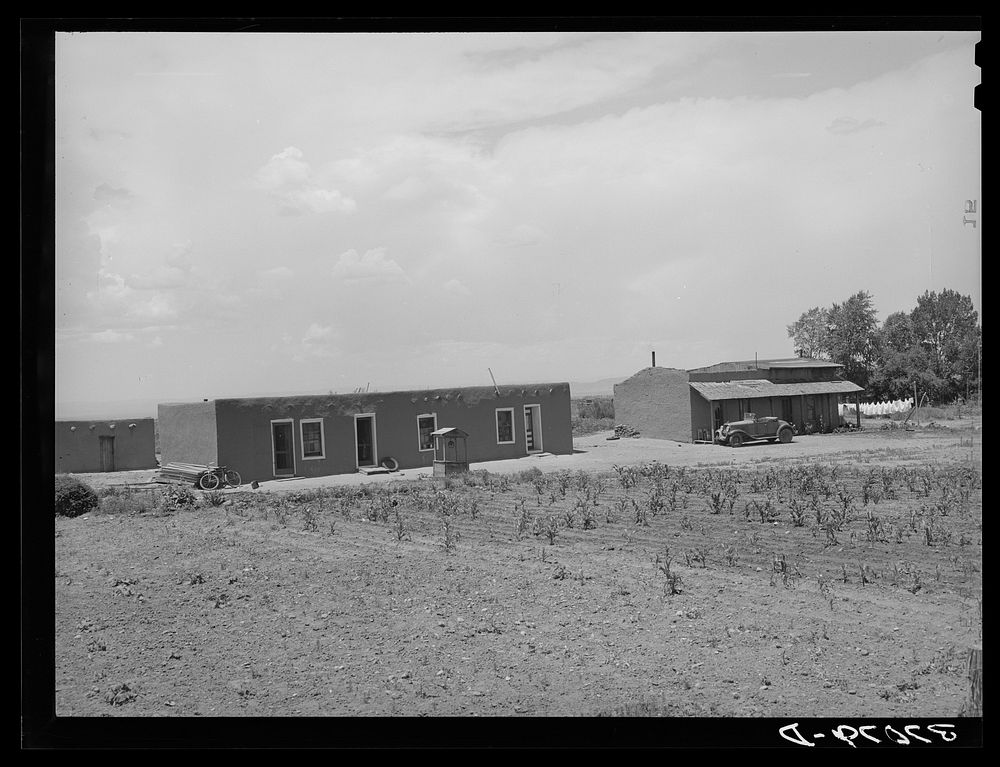 [Untitled photo, possibly related to: Adobe house with small patch of corn. Costilla, New Mexico] by Russell Lee