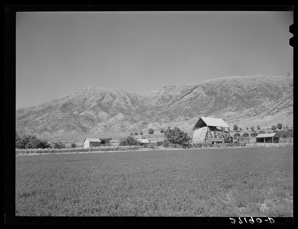 [Untitled photo, possibly related to: Hay barn on farm at foot of Wasatch Mountains. Box Elder County, Utah] by Russell Lee