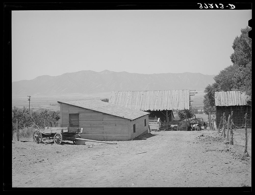 Barns of Mormon farmer. Cache County, Utah by Russell Lee