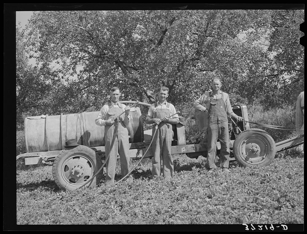 Members of  FSA (Farm Security Administration) cooperative sprayer. Cache County, Utah by Russell Lee