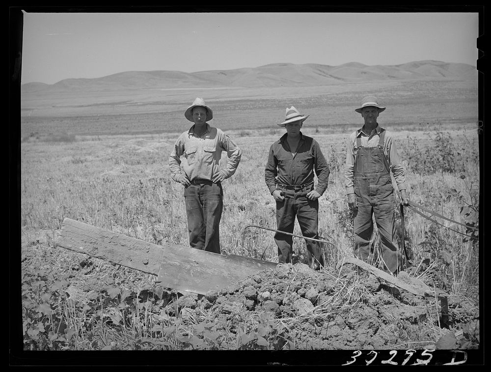 Members FSA (Farm Security Administration) Free Photo rawpixel