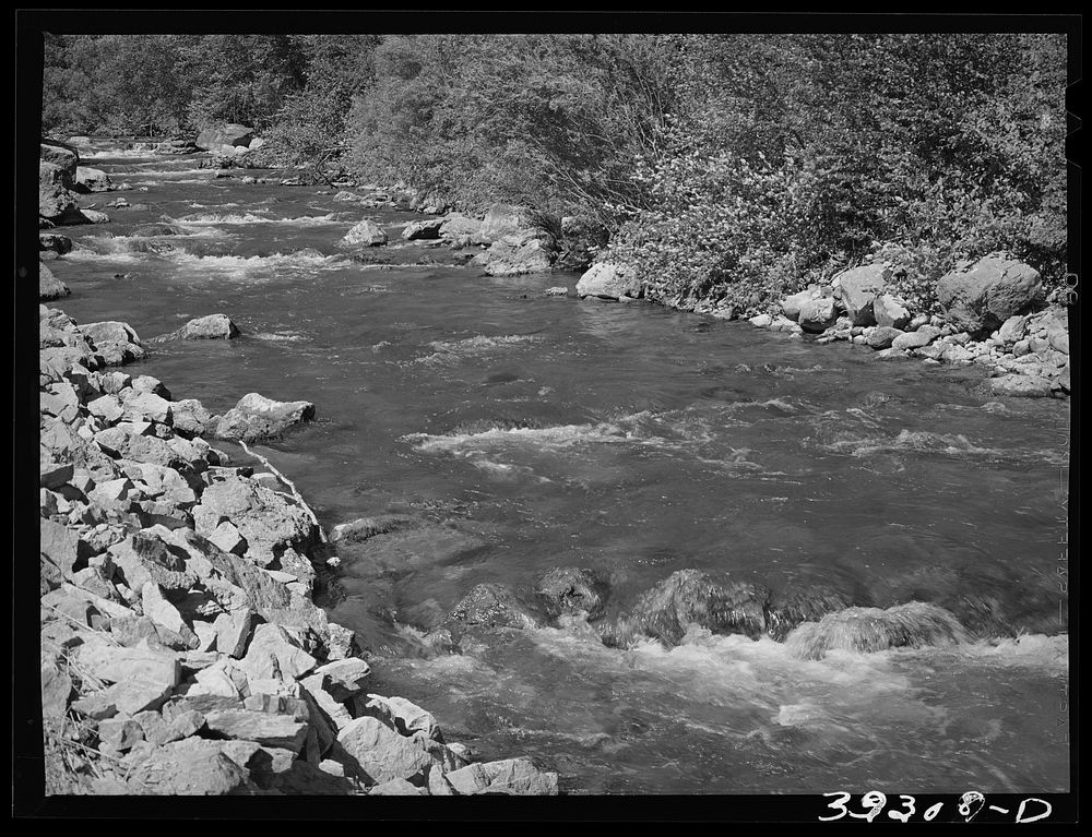 [Untitled photo, possibly related to: Mountain stream, the Logan River. Cache County, Utah] by Russell Lee