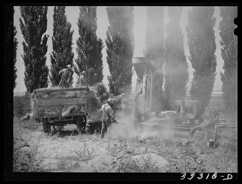 FSA (Farm Security Administration) cooperative hay chopper in action. Box Elder County, Utah by Russell Lee