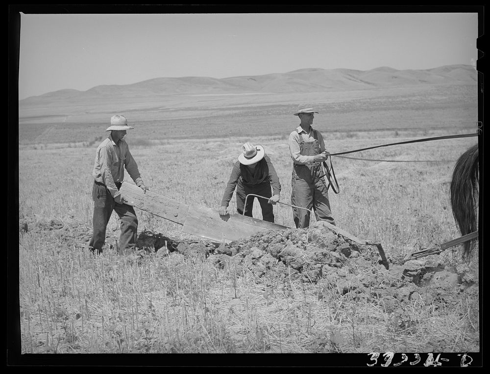[Untitled photo, possibly related to: Members of the FSA (Farm Security Administration) cooperative ditcher. Box Elder…