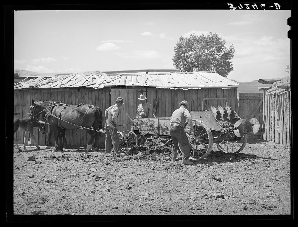 Members of FSA (Farm Security Administration) cooperative manure spreader. Box Elder County, Utah by Russell Lee