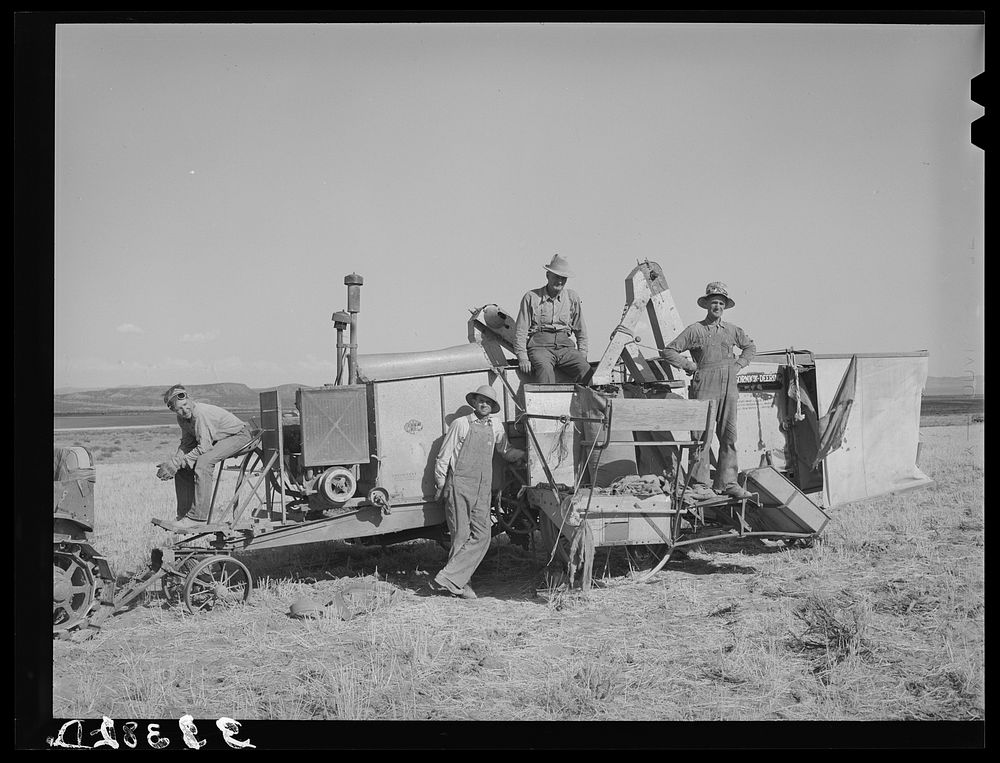 [Untitled photo, possibly related to: Members of FSA (Farm Security Administration) cooperative combine. Box Elder County…