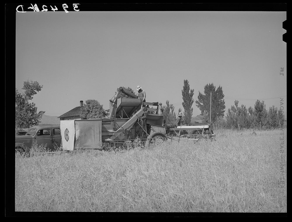 [Untitled photo, possibly related to: FSA (Farm Security Administration) cooperative binder in action. Box Elder County…