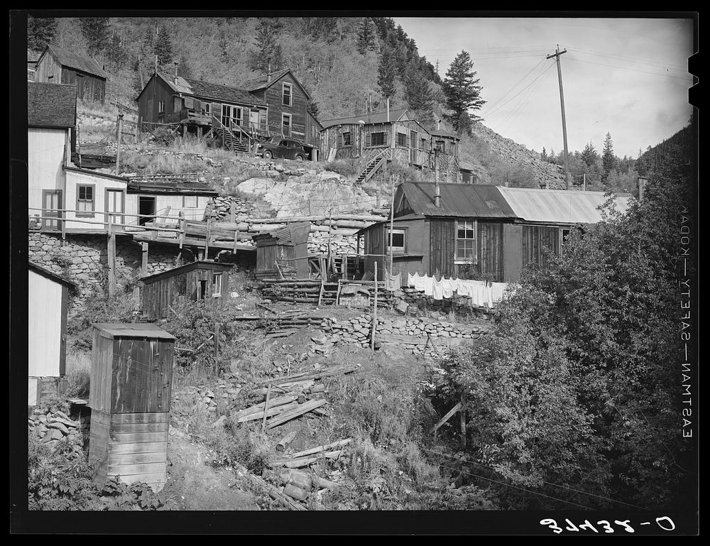 Houses at Ophir, Colorado. This is a gold mining town by Russell Lee