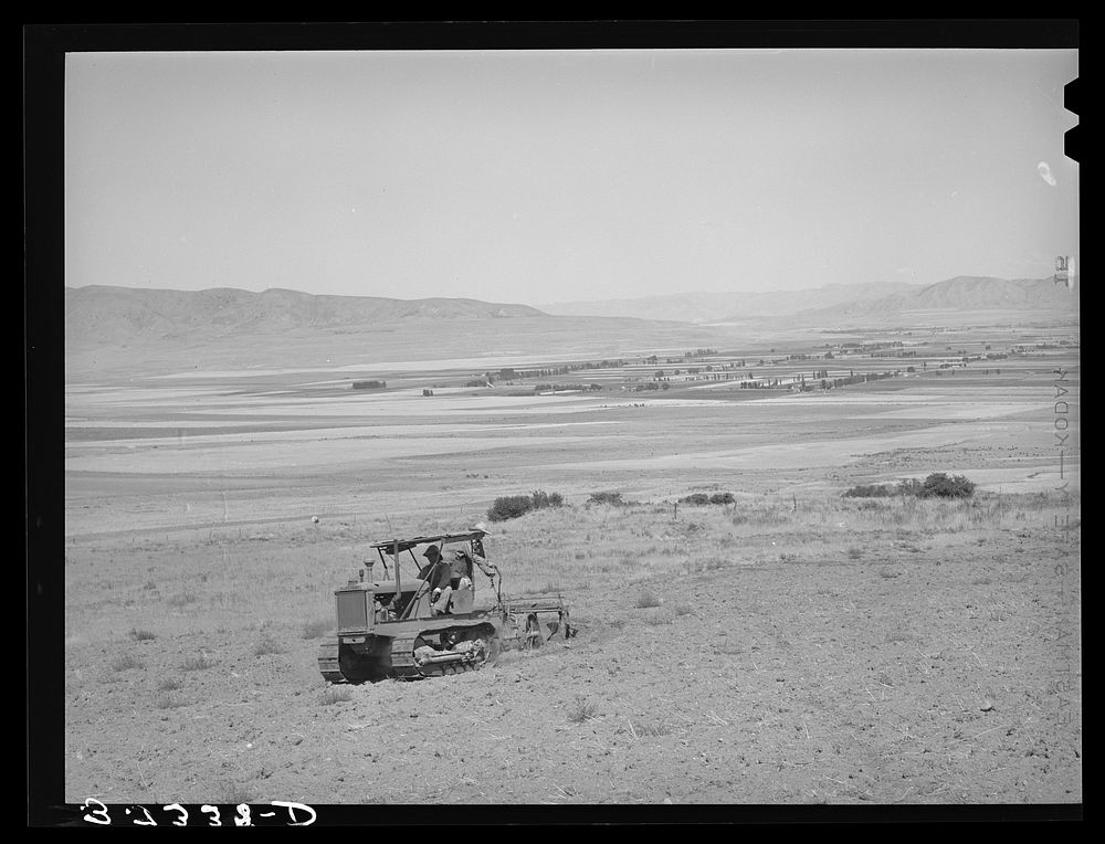 Ericson brothers' cooperative tractor, bought with FSA (Farm Security Administration) loan, plowing dry land. Irrigated land…