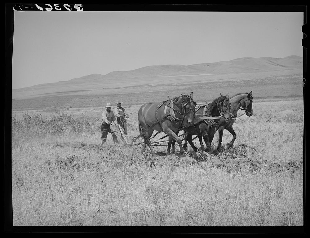 The first step in digging a ditch with a ditcher is to plow a furrow. Box Elder County, Utah by Russell Lee