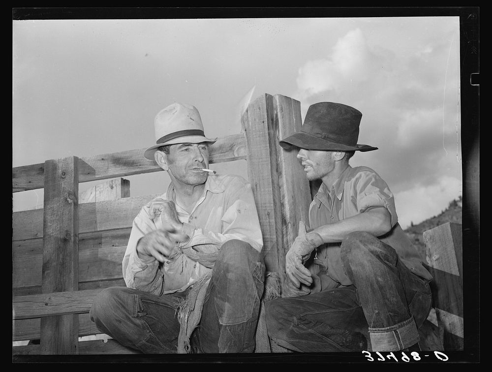 Two sheepmen talking. Cimarron, Colorado by Russell Lee