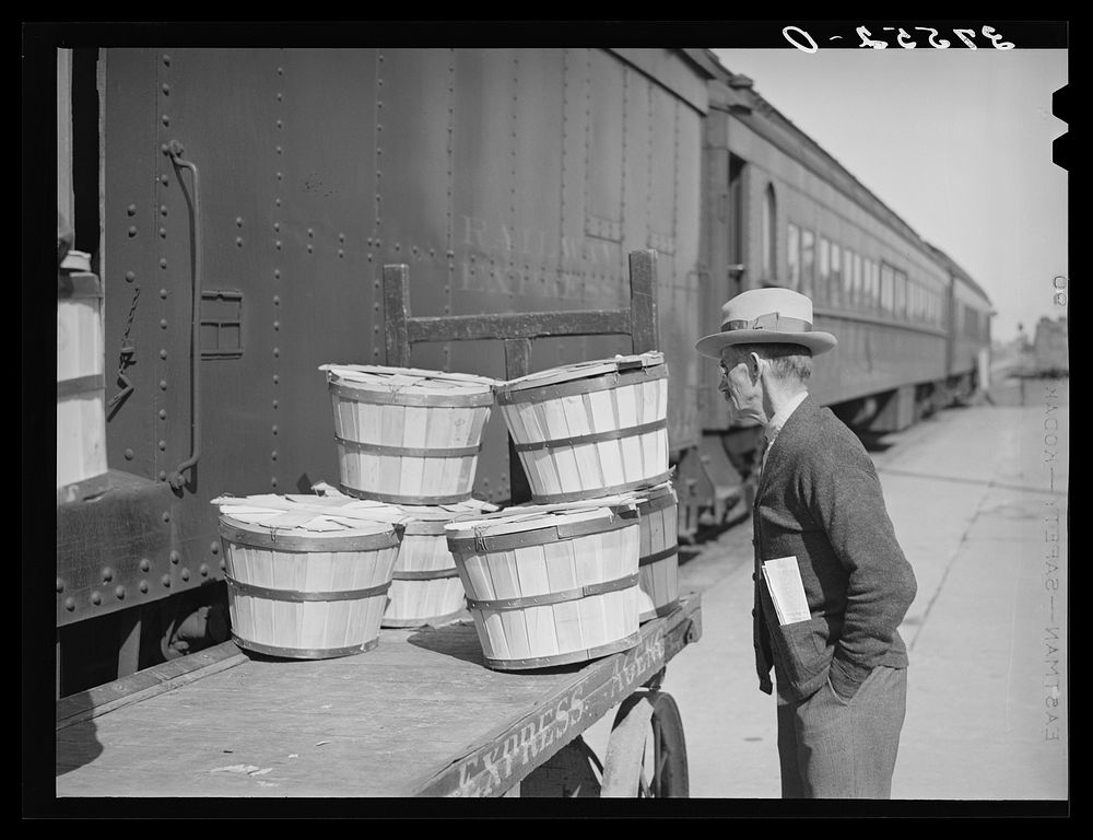 Man looking over express packages to see if something he has expected arrived on morning train. Montrose, Colorado by…