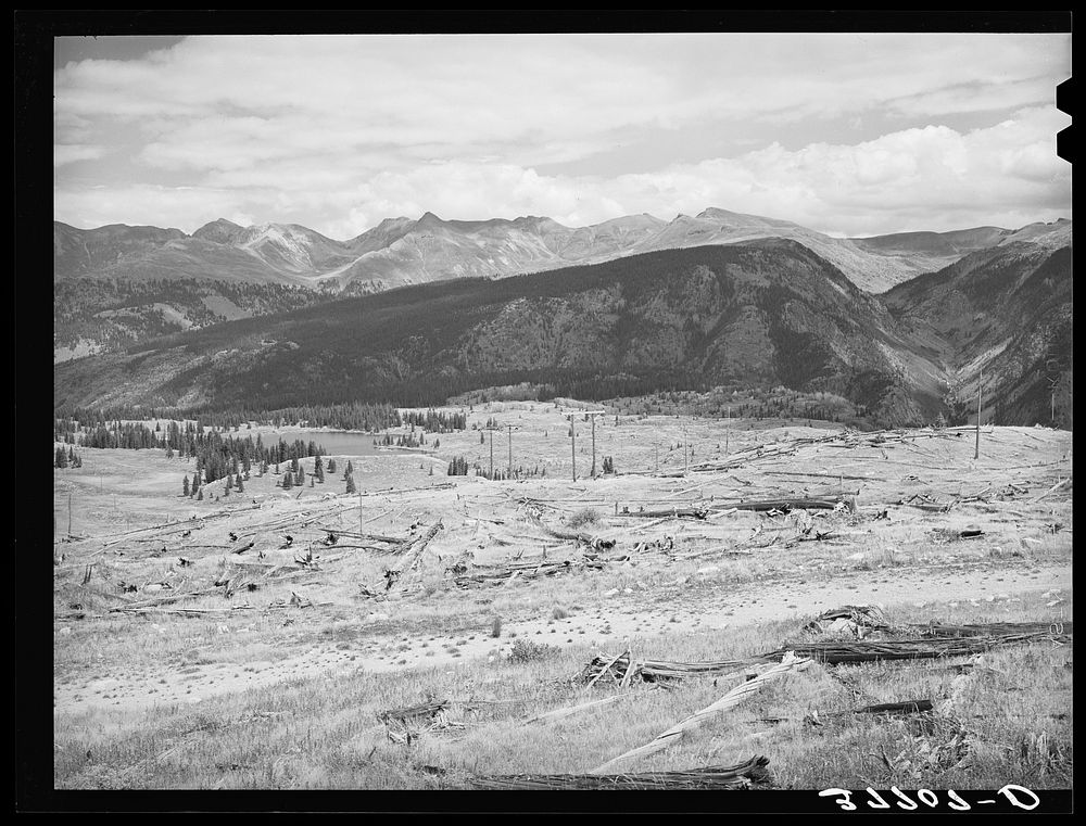 Results of deforestation during the early mining days, in region around Electra Lake. San Juan County, Colorado by Russell…