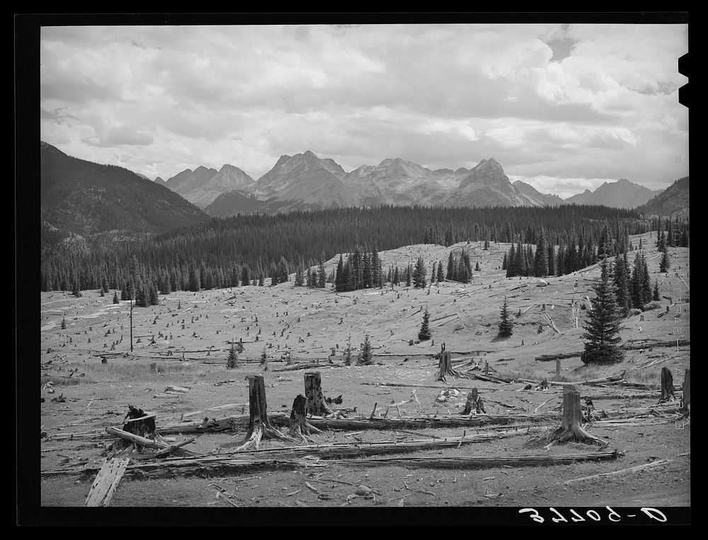 Results of deforestation during the early mining days. San Juan County, Colorado by Russell Lee