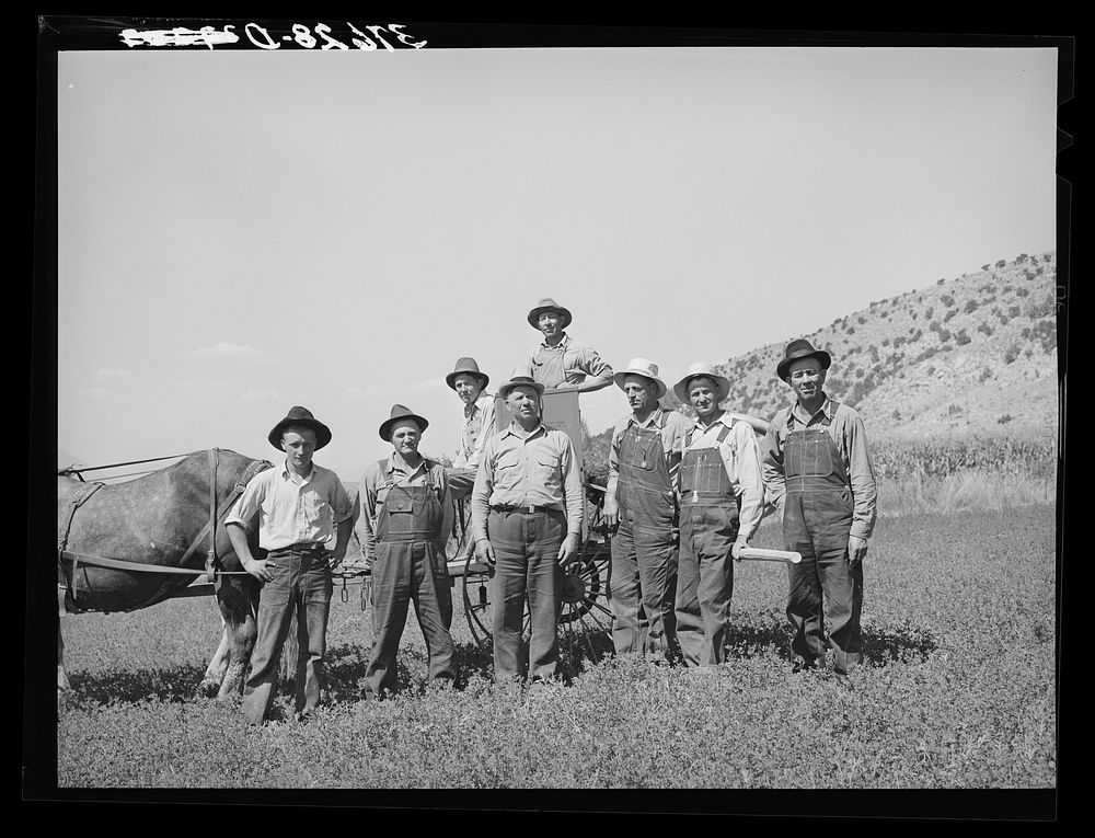 Members of the Allen Valley Duster Association, a FSA (Farm Security Administration) cooperative. Sanpete County, Utah by…