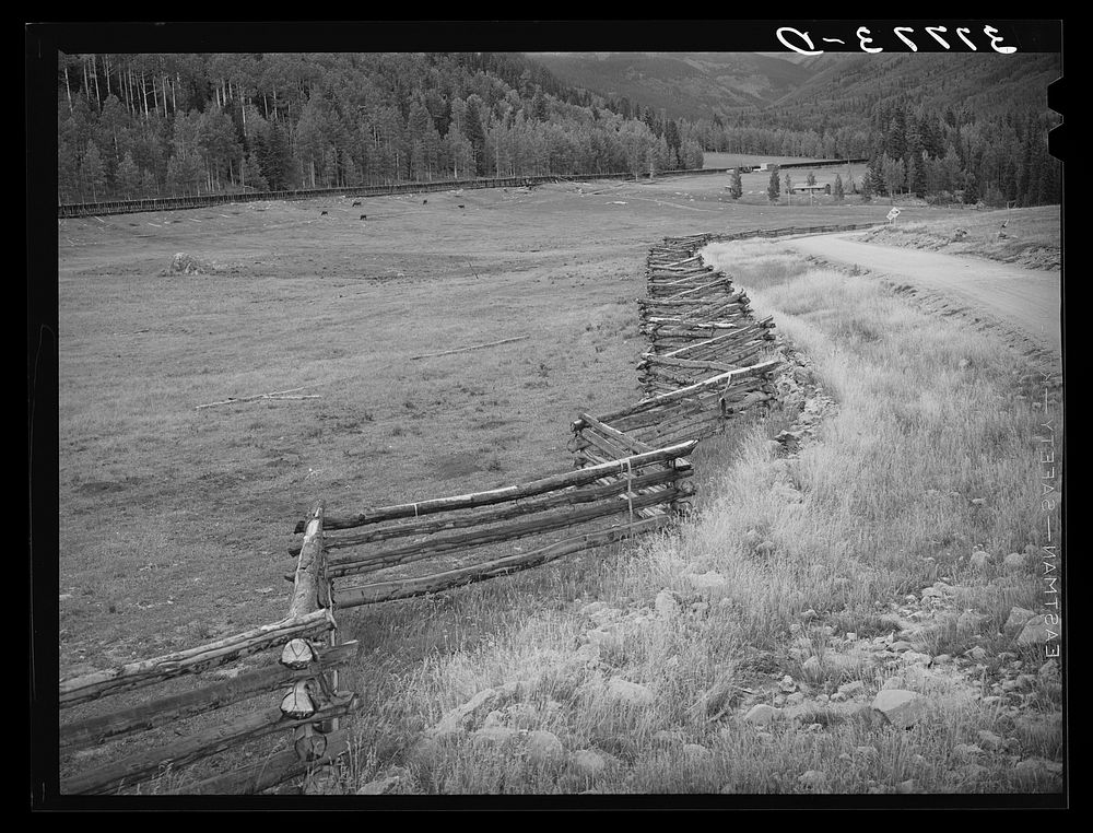 [Untitled photo, possibly related to: Rail fence in San Juan County, Colorado] by Russell Lee