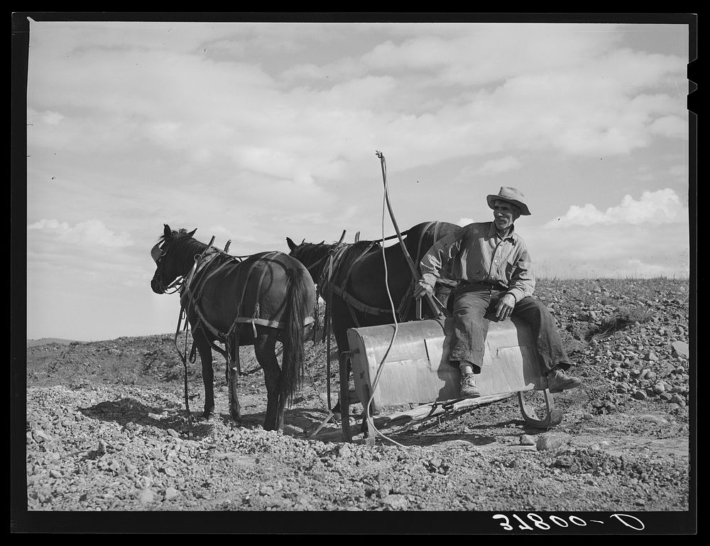 Worker of Concho, Arizona, sitting on a stoop by Russell Lee