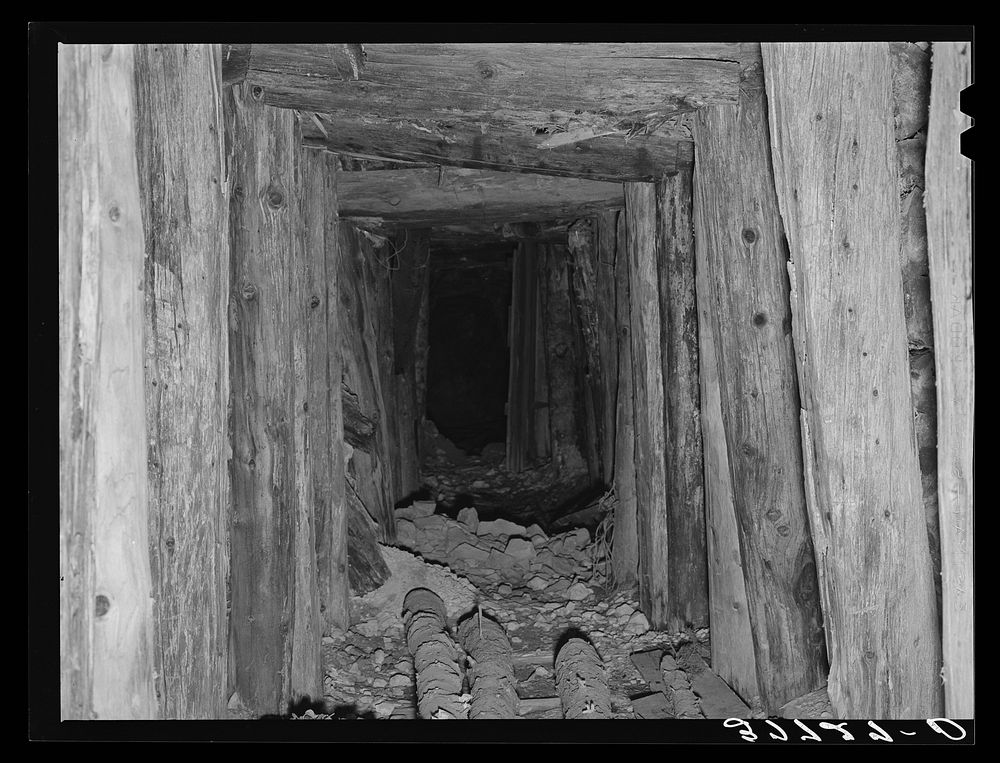 Timbered tunnel leading into mine. San Juan County, Colorado. Barren mountain sides attest to the amounts of timber which…