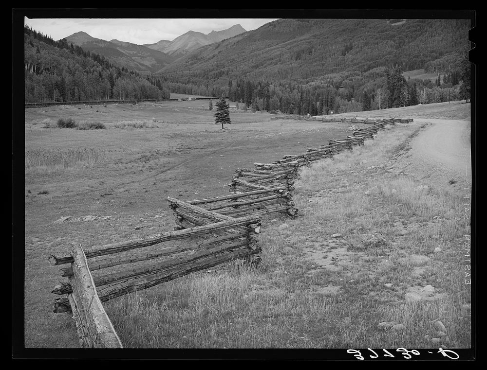 Rail fence in San Juan County, Colorado by Russell Lee