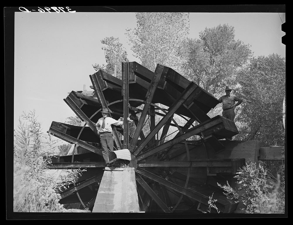 FSA (Farm Security Administration) cooperative waterwheel. Water is used for irrigation. Near Littlefield, Mohave County…
