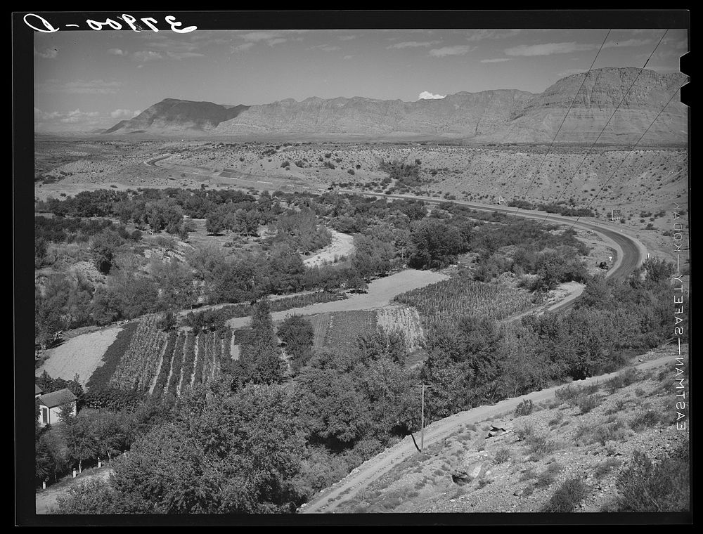 [Untitled photo, possibly related to: Small, irrigated, very productive farm. Santa Clara, Utah. See general caption] by…