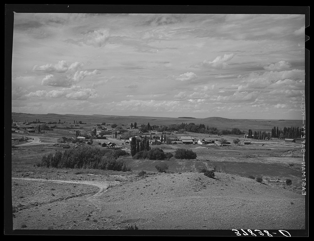 Concho, Arizona. Inhabitants of this town are all of Spanish extraction by Russell Lee