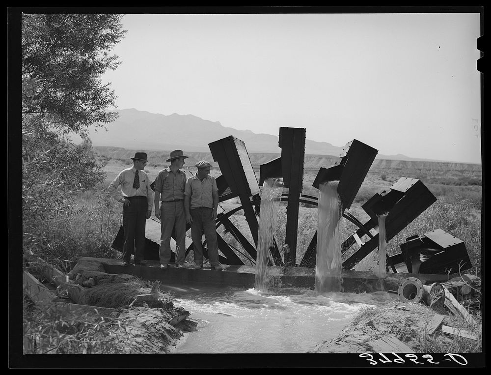 [Untitled photo, possibly related to: FSA (Farm Security Administration) cooperative waterwheel near little field. Mohave…