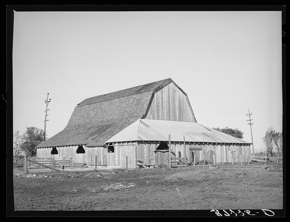 Barn of Carl Rubel, owner of successful 150 acre dairy farm in Yuba County, California by Russell Lee
