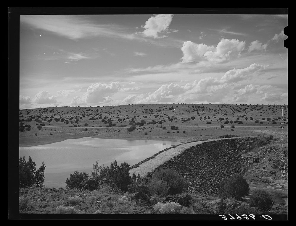 Main dam at Concho, Arizona. This is about twenty five years old and impounds the water which comes from a series of springs…
