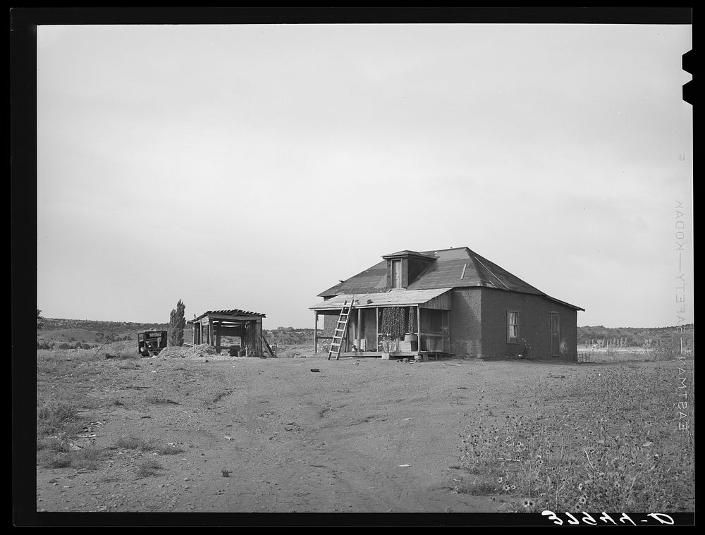 [Untitled photo, possibly related to: Farmstead, Concho, Arizona] by Russell Lee
