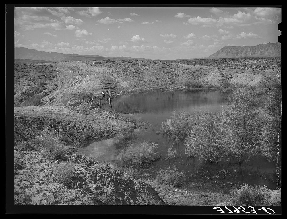 Reservoir of water used for irrigation. Washington County, Utah by Russell Lee