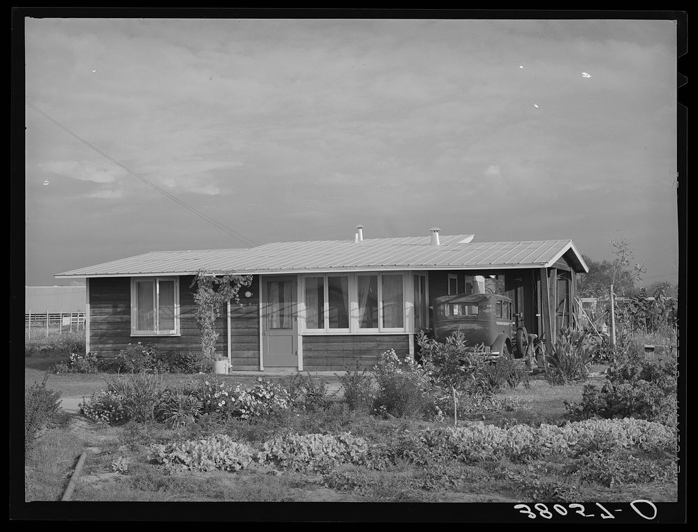 House of member on the Mineral King cooperative farm. Tulare County, California by Russell Lee