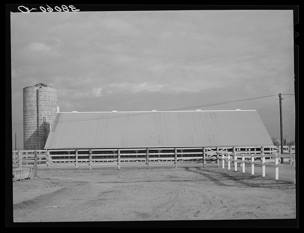 Barn. Mineral King cooperative farm. Tulare County, California by Russell Lee