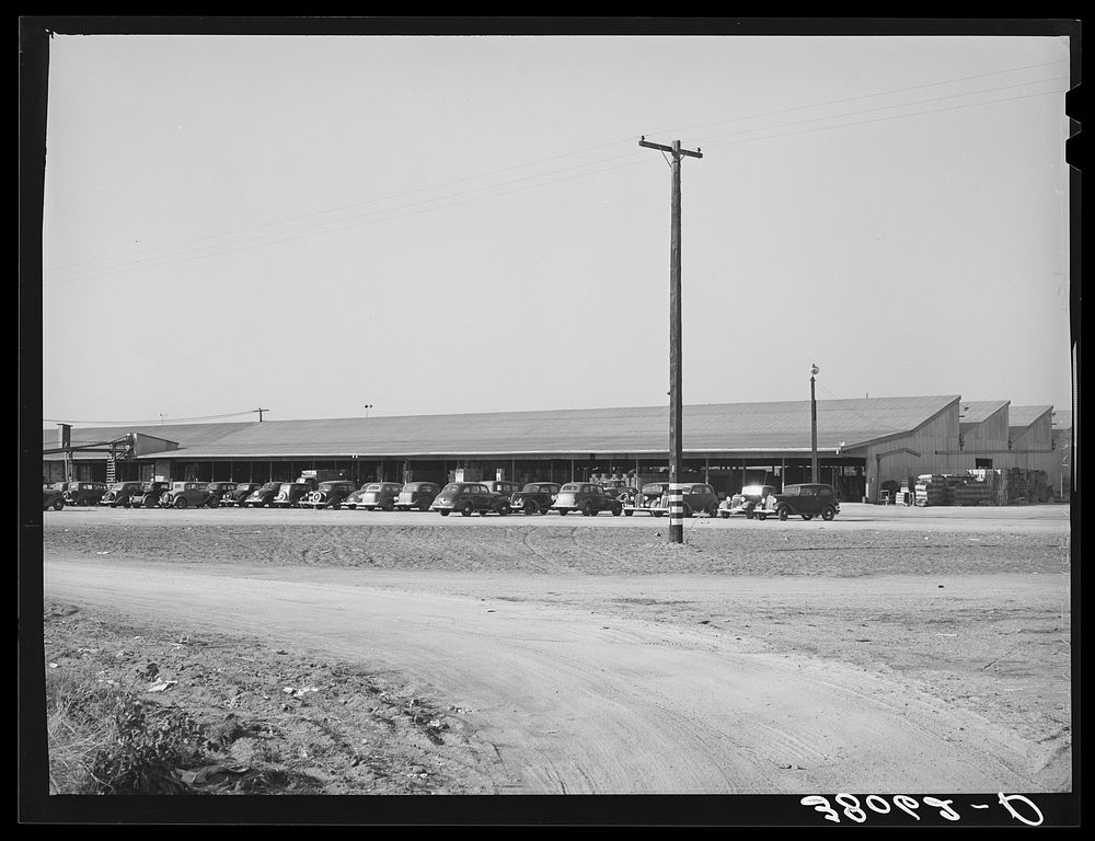 Packing sheds at the Earl Fruit Company ranch. Kern County, California by Russell Lee