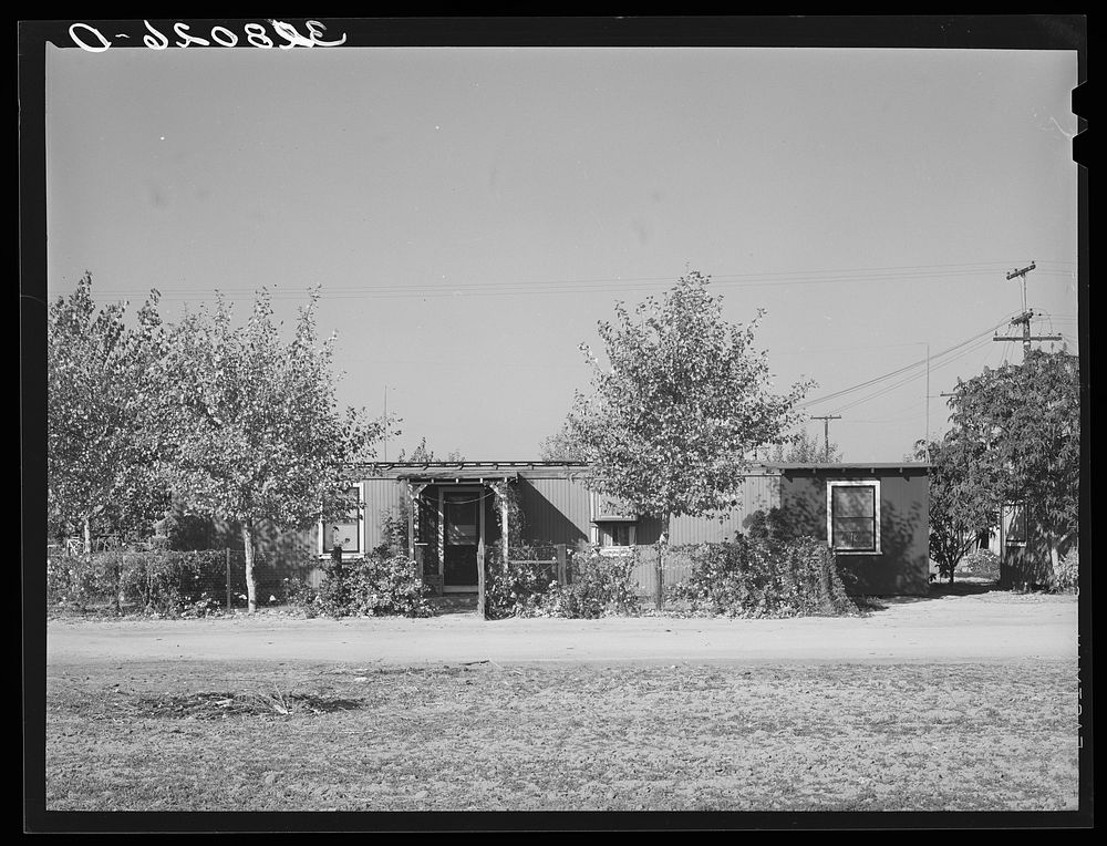 Home of married couple working on Earl Fruit Company ranch. Kern County, California. These houses have been made from…